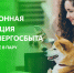 о возможности получения электронной квитанции за услуги ЖКХ от филиала «АтомЭнергоСбыт» Смоленск - фото - 1 - Сычевский район
