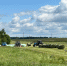336d000d-4663-44c5-8556-c - Сычевский район