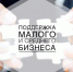 поддержка субъектов малого и среднего предпринимательства грантовая программа «Первый Старт» - фото - 1 - Сычевский район