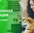 электронную квитанцию получил – через цифровые сервисы оплатил - фото - 1 - Сычевский район